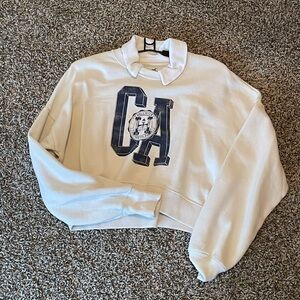 Hollister Sweaters